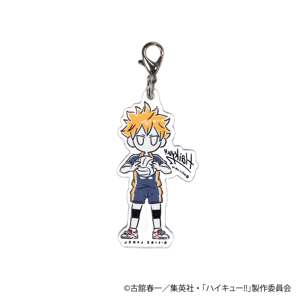 (ハイキュー!!)デフォ日向翔陽/チャーム