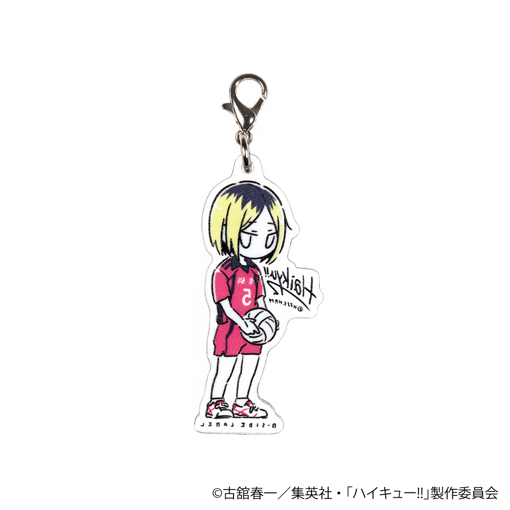 (ハイキュー!!)デフォ孤爪研磨/チャーム