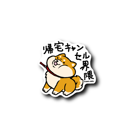 キャンセル界隈柴犬(帰宅)