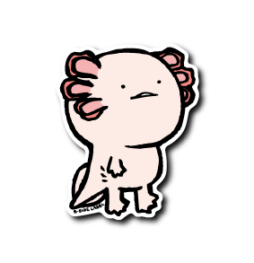 真顔ウーパールーパー (口開け)