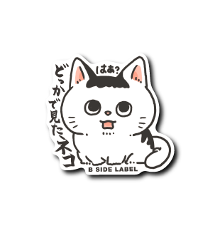 どっかで見たネコ(はぁ?)