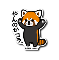 レッサーパンダ(やんのか)