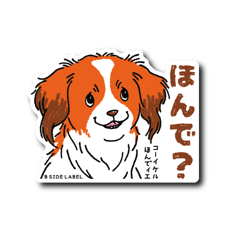 コーイケルほんでィエ(1匹)