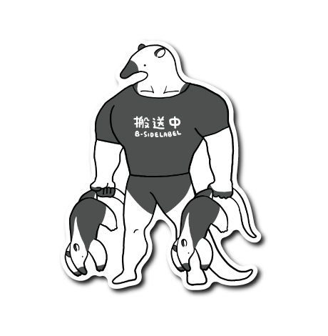 ゆるゴツミナミコアリクイ(搬送中)