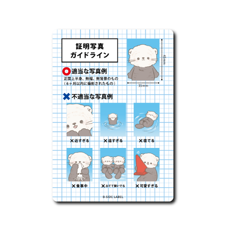 ラッコの証明写真(赤コーン)