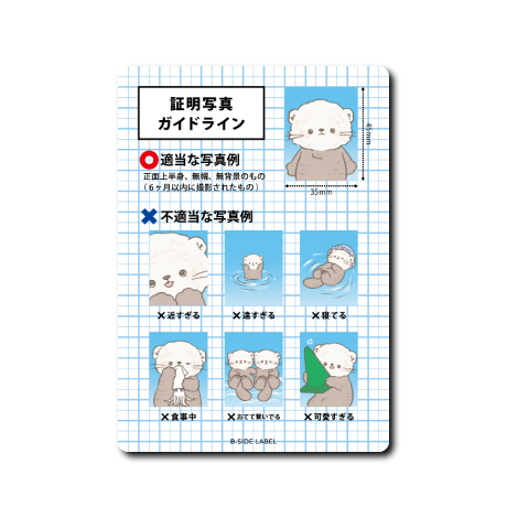 ラッコの証明写真(緑コーン)