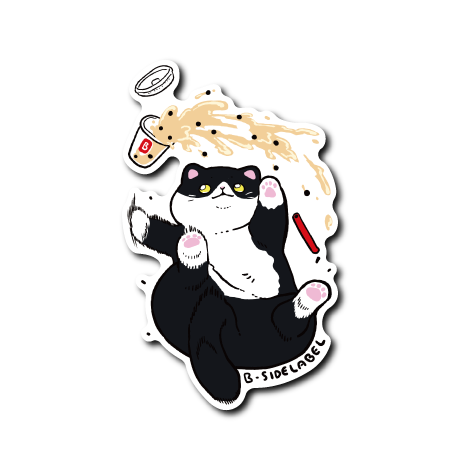 ずっこけ猫(黒白猫)