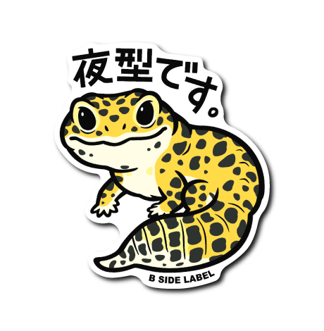 レオパ(夜型)