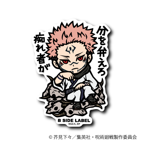 (呪術廻戦)宿儺「分を弁えろ 痴れ者が」