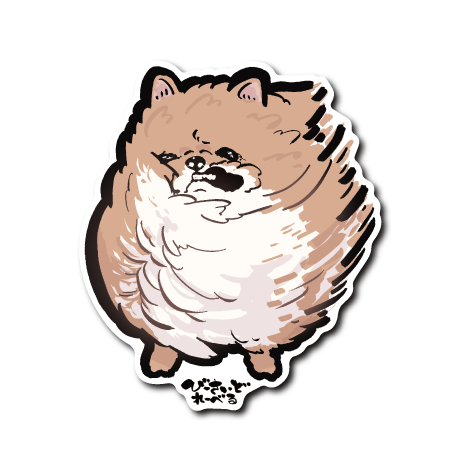 (ブサカワ)強風ポメラニアン