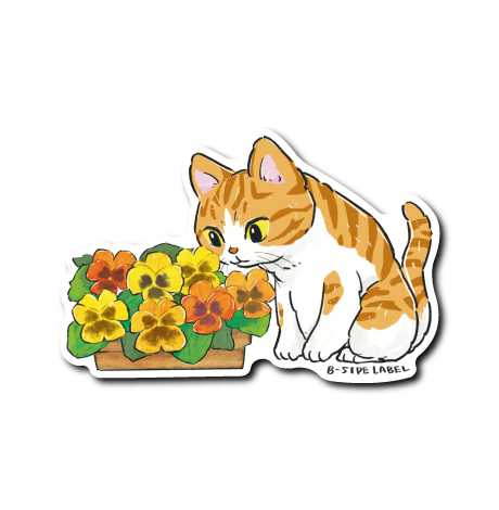 (にゃんポ〜ズ4)猫2月パンジー(茶トラ)