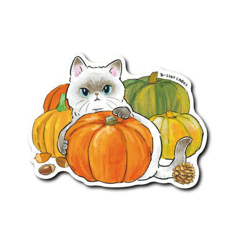 (にゃんポ〜ズ4)猫10月かぼちゃ(シャム)