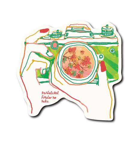 (秋企画)カメラ紅葉