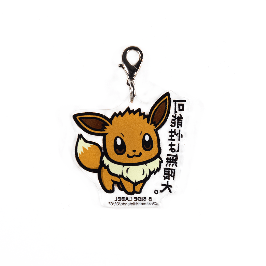 (ポケモン)イーブイ「可能性は無限大」/チャーム