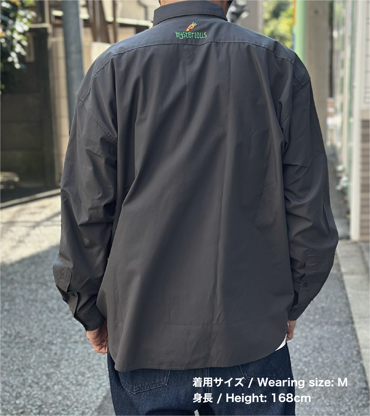 ミステリアス/刺繍シャツ