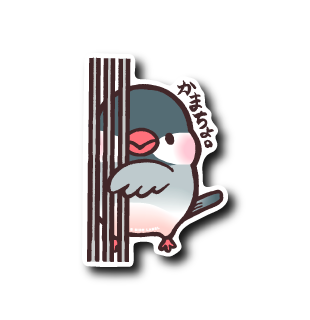 かまちょ文鳥(横から)