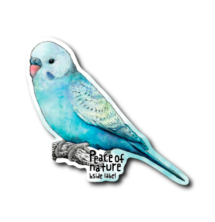 フォースインコ