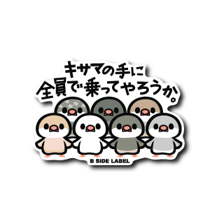 手乗り文鳥集合