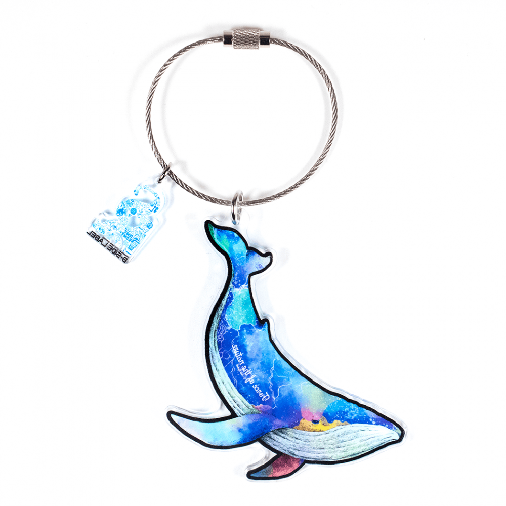 フォースクジラ/キーリング