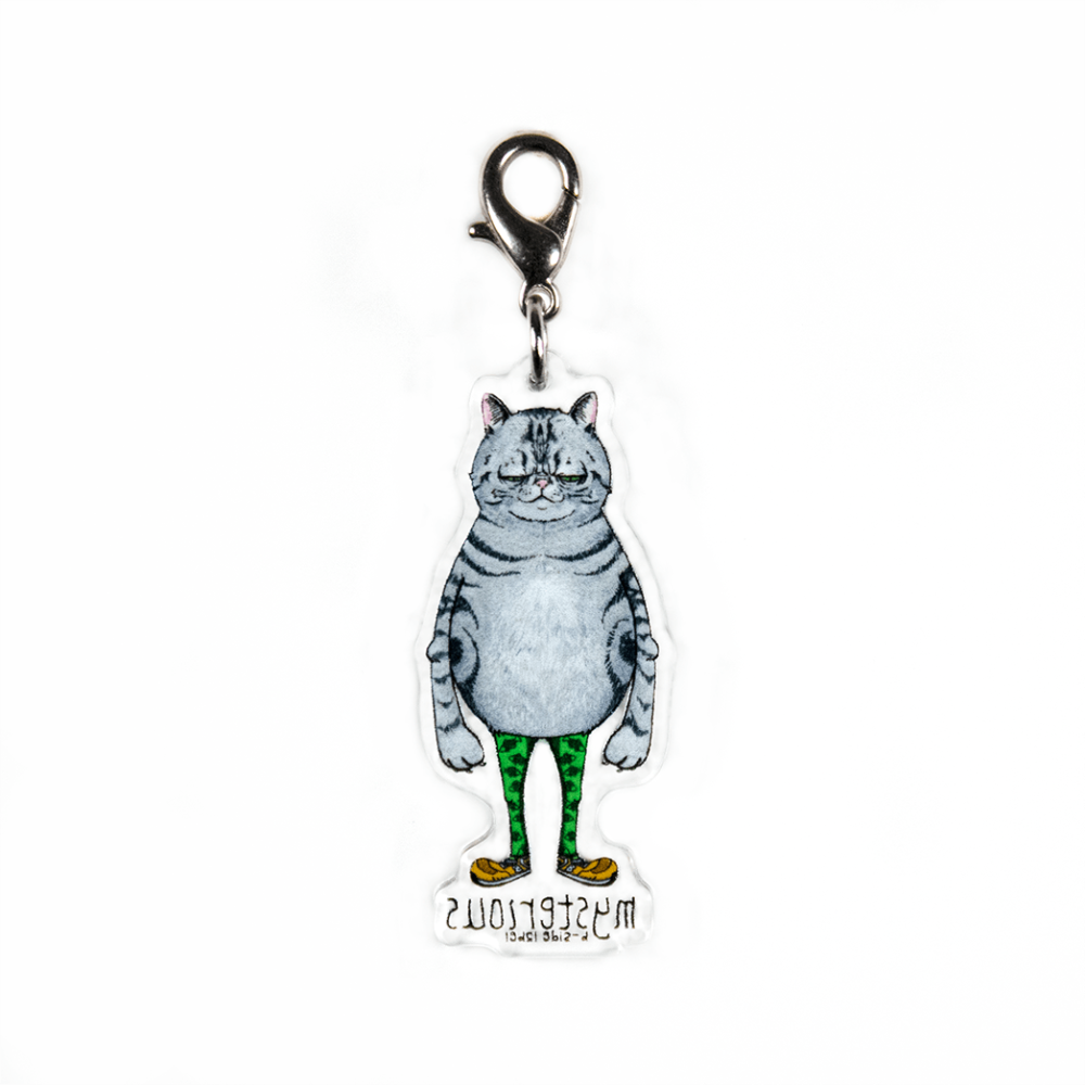 ミステリアスネコ/チャーム