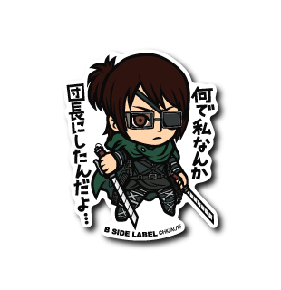 (進撃の巨人)ハンジ「何で私なんか団長にしたんだよ・・・」