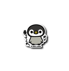 養ってくれペンギン