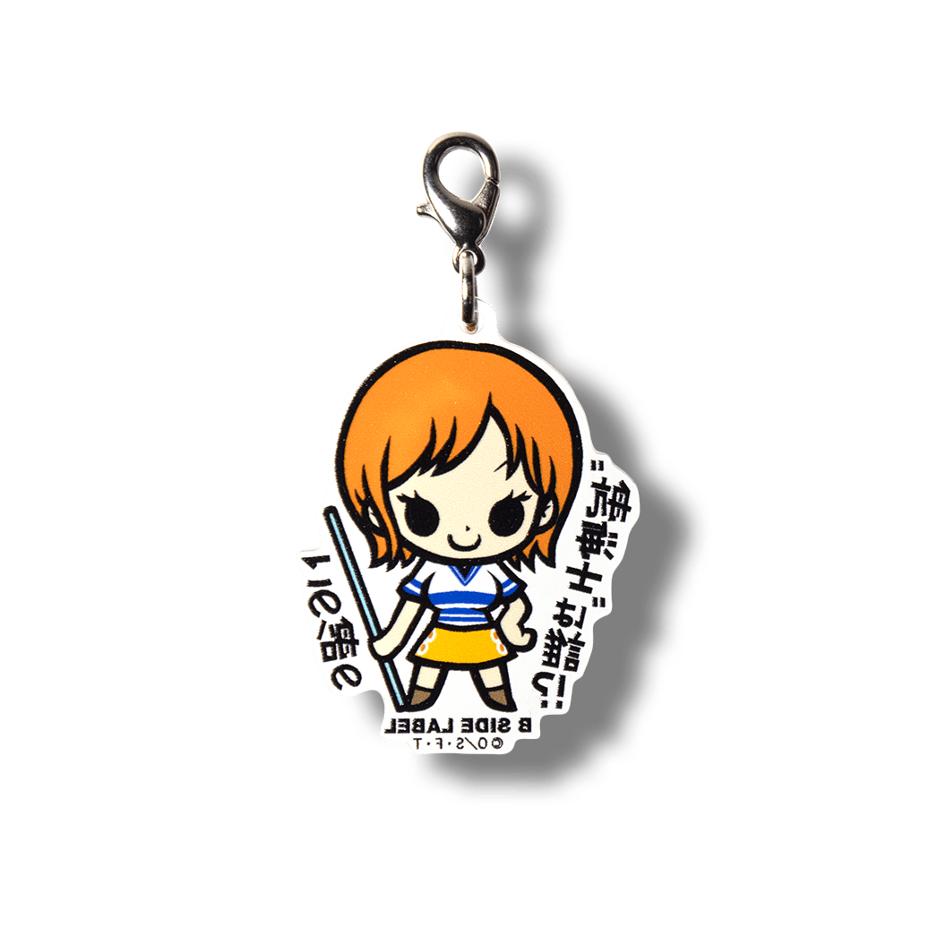 (ワンピース)ナミ「この船の航海士は誰!?」/チャーム