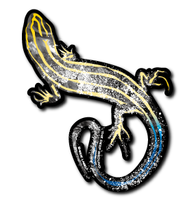 日本トカゲ(青黄)