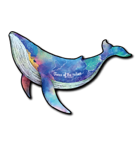 フォースクジラ