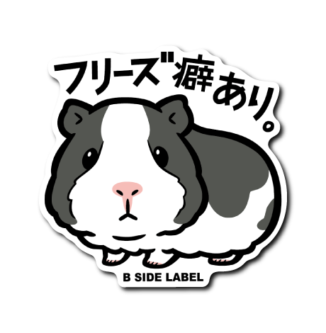 モルモット(フリーズ癖)