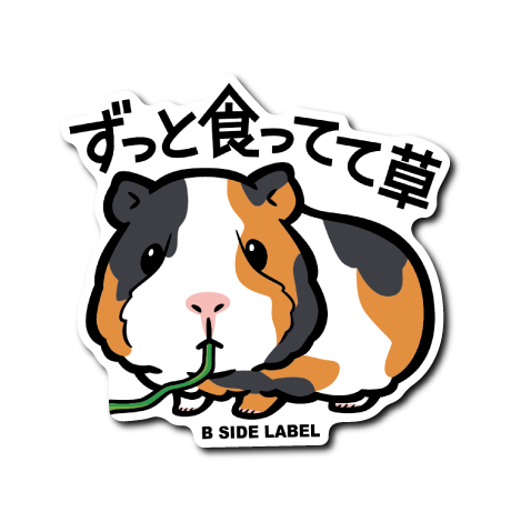 モルモット(食ってて草)