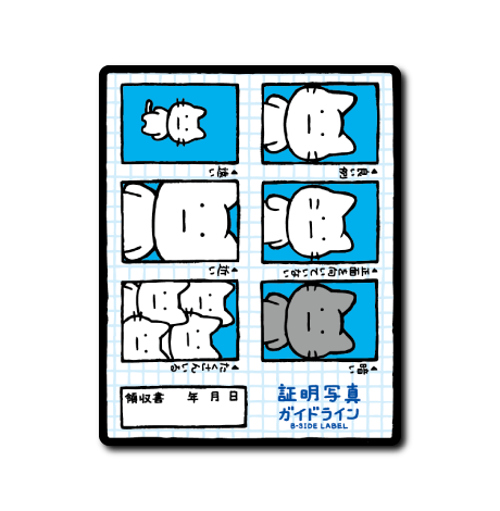 真顔証明写真(ねこ)