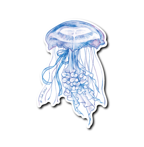 フリルリボンクラゲ(青)