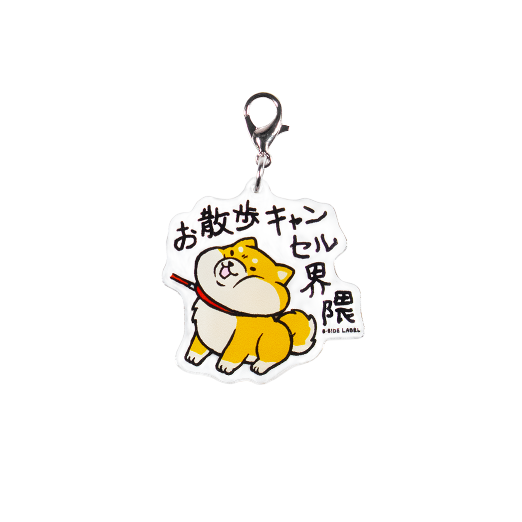 キャンセル界隈柴犬/チャーム