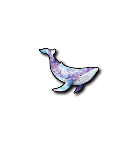 WEBSHOP限定フォースクジラ