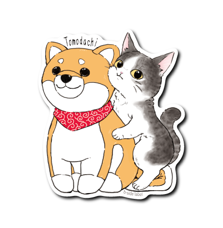 猫と友達の柴犬(サバトラ)