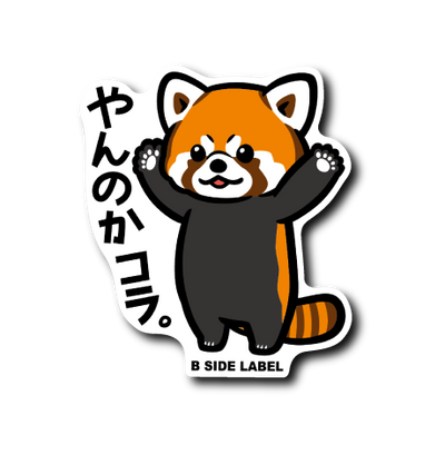レッサーパンダ(やんのか)