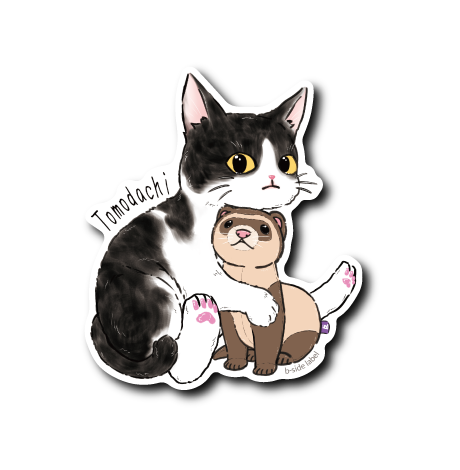猫と友達のフェレット(黒白)