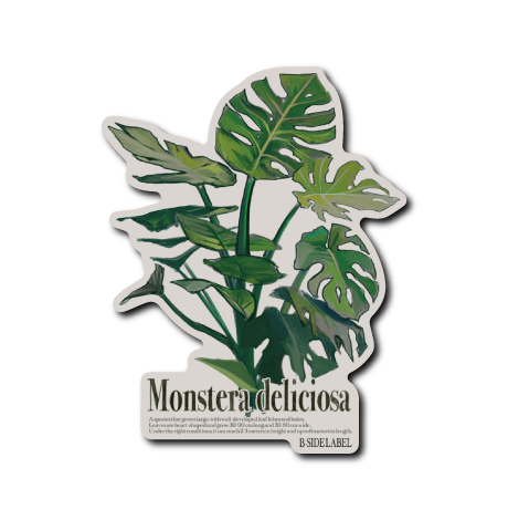 Monstera deliciosa(グレー背景) – B-SIDE LABEL