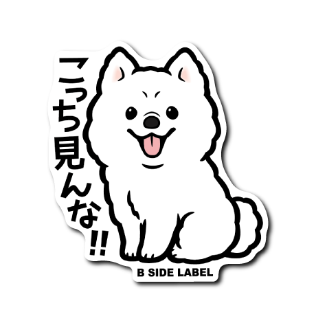 サモエド(見んな)