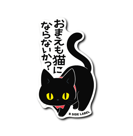 暴言猫(黒猫)