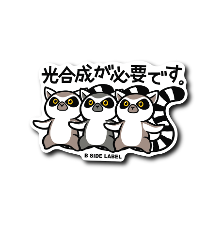 ワオキツネザル(光合成)