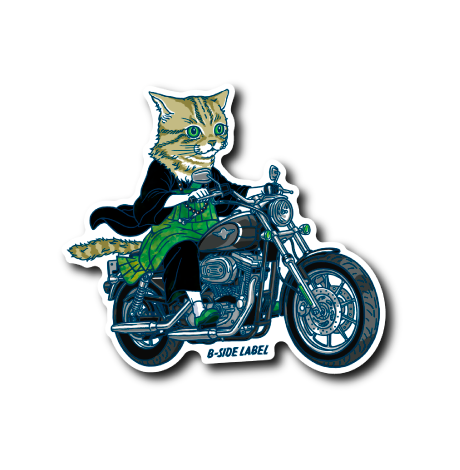 覆面坊主ライダー(猫)