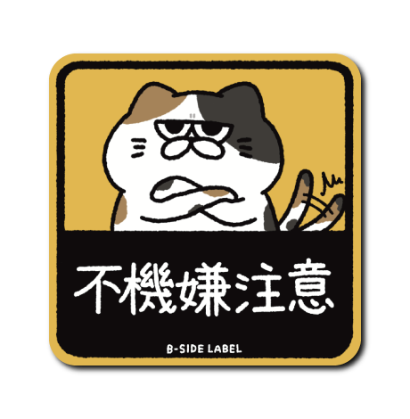 不機嫌注意猫(三毛)