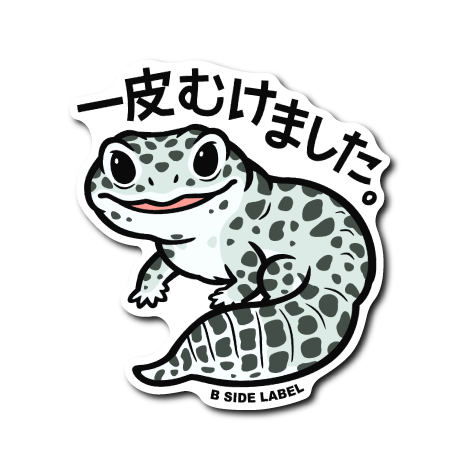 レオパ(一皮)