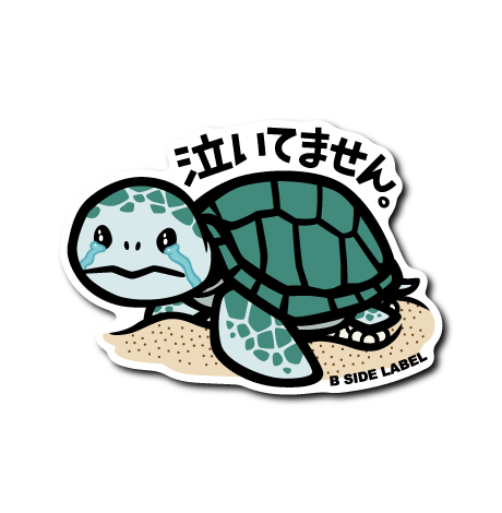 ウミガメ(泣いてません)