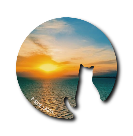 (サンセット)夕日と猫写真