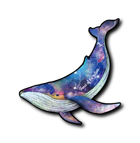 (夏夜)フォースクジラ星空