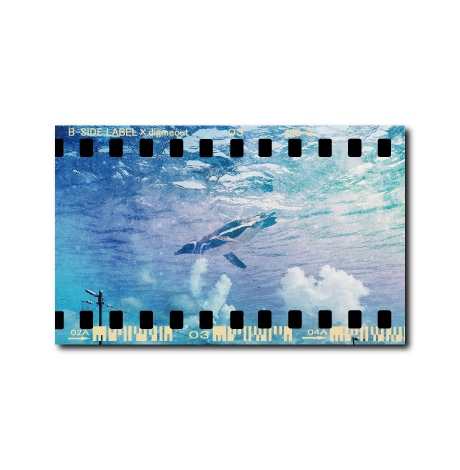 ペンギンPENGUIN/ラジオステッカー