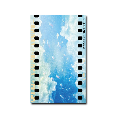 空と熱帯魚TROPICAL FISH/ラジオステッカー